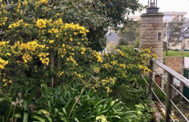 Family home 150m plage 11 pers - Foto 29