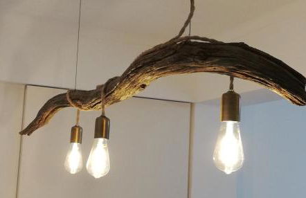 Calamilloraptm - Foto 8