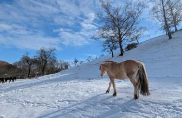 Ferienwohnung am Rabenauer Grund - Photo 21