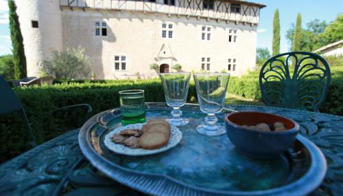 Château de Mayragues - Foto 3, Garden, Garden view