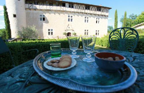 Château de Mayragues - Photo 3