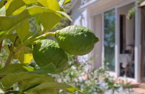 Rustic country cottage - Foto 17