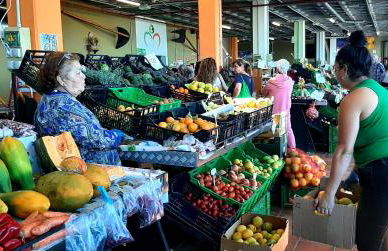 Villa ARTE - Foto 72