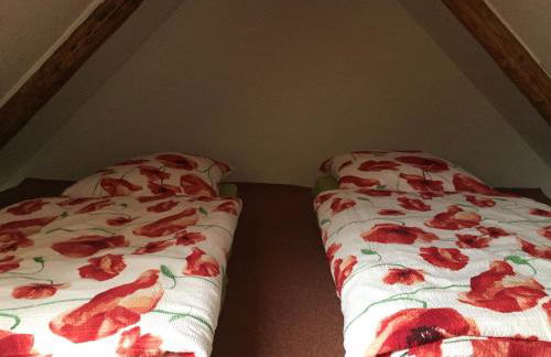 Schöne gemütliche Ferienwohnung mit Kamin II im Harz - Foto 12