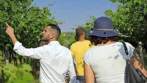 Biodynamic Farm Tour + Wine Tasting - Foto 2