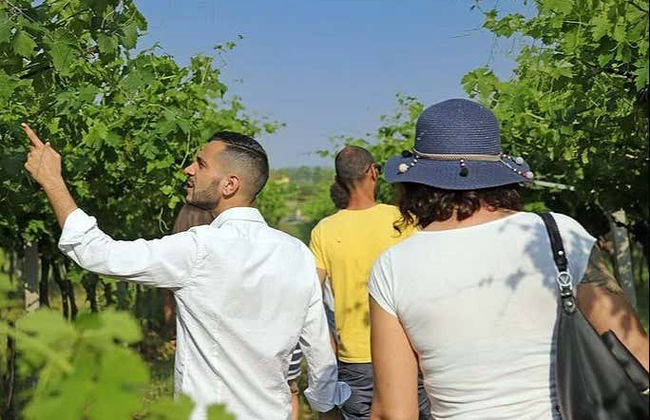Visita di una fattoria biodinamica + Degustazione di vino - Foto 2