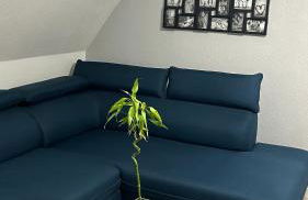 Ferienhaus Achterhus für Familien & Homeoffice - Foto 27