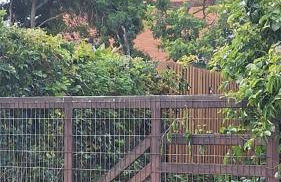 Morada Héstia - Foto 6