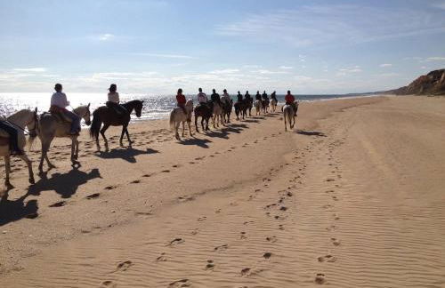 CENTER APARTMENT Mazagón - Photo 28