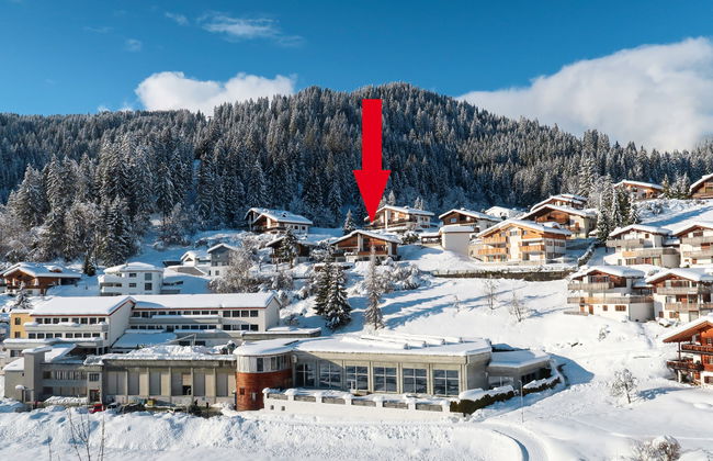 Schumellins (LAA400) - Foto 22