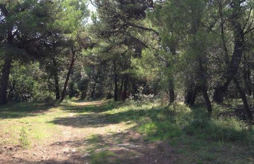 Casa Isabella - Foto 14