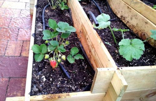 Casa Rural Figueroa - Foto 48