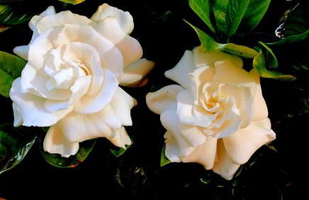 Casa vacanze Ester - Photo 13