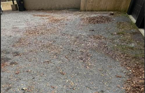 Cozy Country Cottage - Photo 7