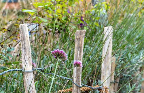 Menschen Meehr und wilder Wein - Foto 33