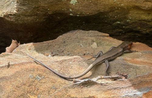 Romantic Cottage w Hot Tub & Views - Photo 40