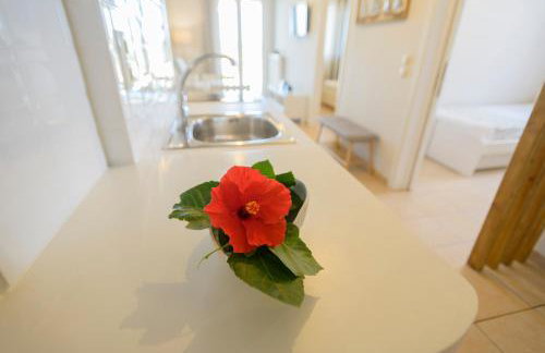 Pelagia's Apartments Finikounda - Foto 62