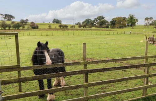 Row End farm - Foto 26