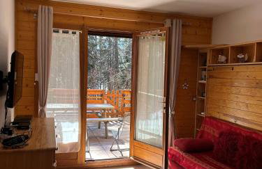 Studio 4 personnes, Les Rochers Blancs, La joue du loup - Foto 2