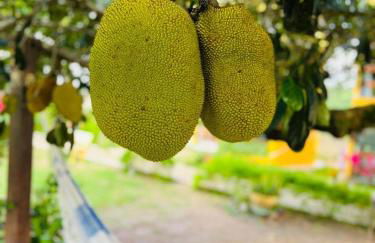 flat 013 - Serra Negra - Bezerros - PE - Foto 29