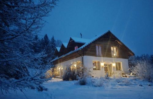 Forreset - leśny reset - Foto 72