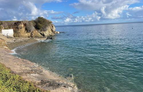 Catalina Island Getaway With 6 Seat Golf Cart Ac - Foto 43