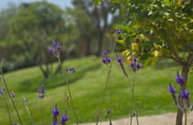 VILLA ISOLOTTO a 150 m dal mare - Foto 35