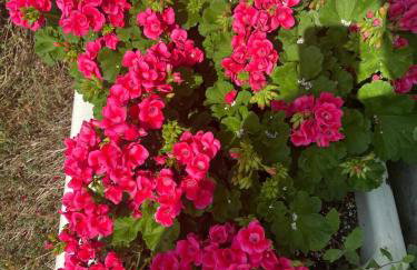 Loch Leven Loft - Foto 7