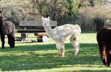 Schöne Aussicht - Foto 7