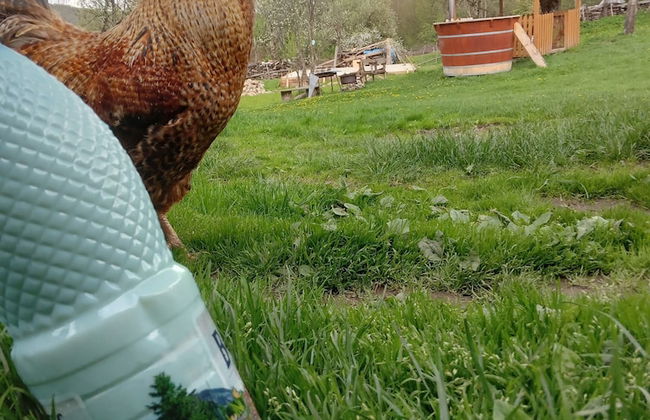 Room in Guest Room - Idylic Family Sejour With Hottube in Green Land - Photo 33