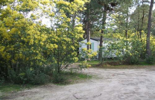 Résidence Santa - Foto 23