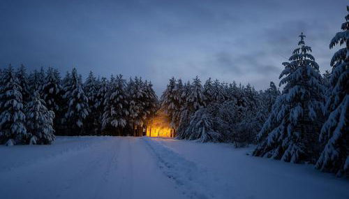 Cozy Green Cottage - Foto 4