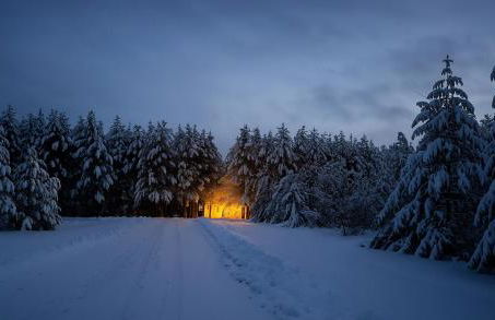 Cozy Green Cottage - Foto 4