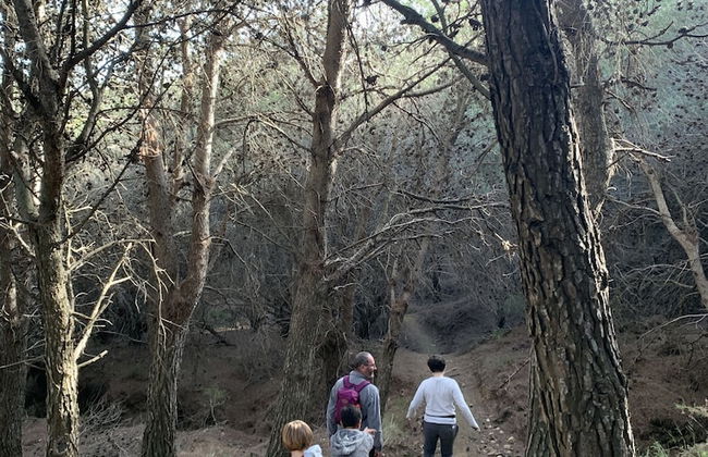 Sea to Sky Suites - Mijas Pueblo - Photo 61