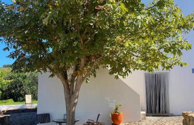 Quinta d'Abegoa - Photo 40