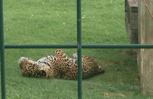 Apartamento Turistico Cigüeña de Arguedas - Foto 36