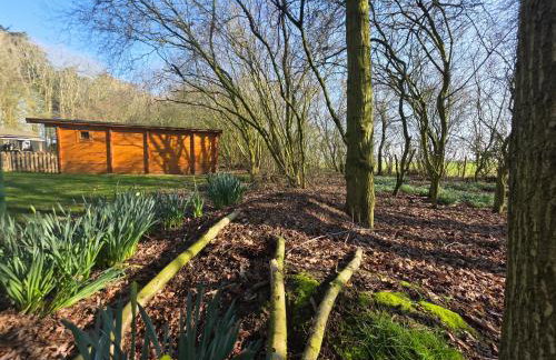 Lighthouse Lodge - Dog Friendly Nr Sutton on Sea - Photo 27