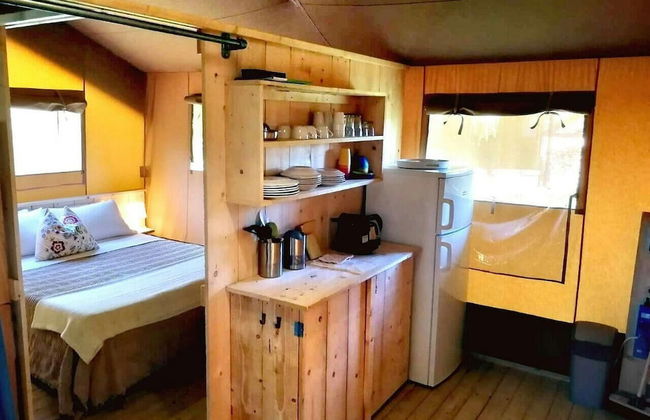 Agriturismo Fattoria La Prugnola - Foto 69