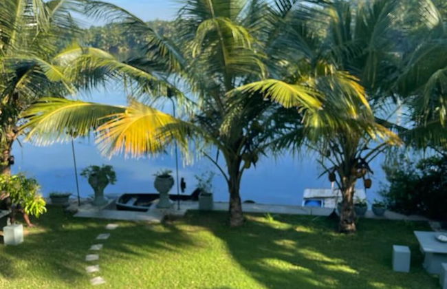 Morning Guest can see Momkeyies and Birds - Foto 31