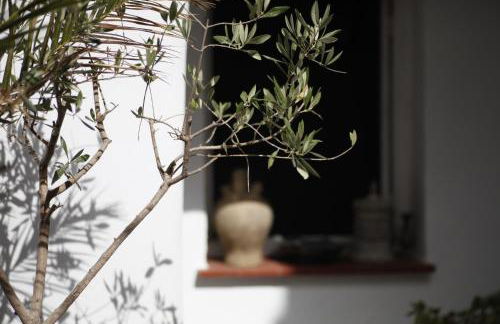 CASA AMARO - Foto 34