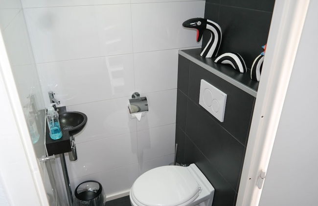 6 Pers - Holiday Home With Sunny Terrace by a Typical Dutch Canal - Foto 11