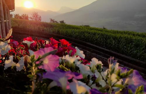 Schweiggerhof -Agriturismo- Farm Holidays - Foto 34