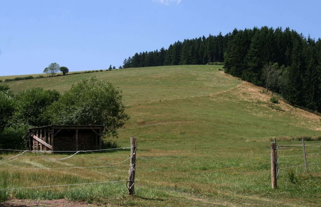 Historisches Ferienhaus im Schwarzwald - Foto 25
