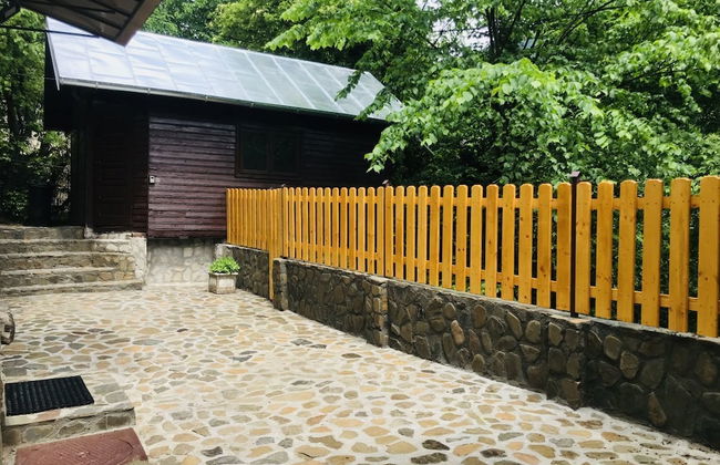 Apartment Carol - Foto 19