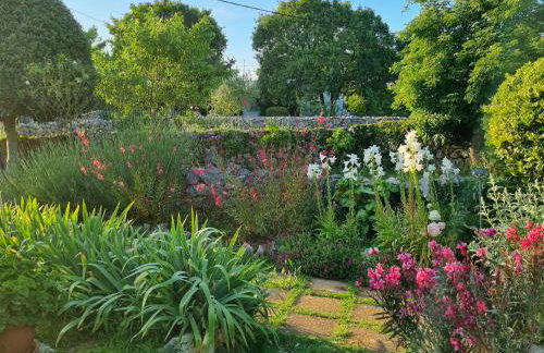 Studio Apartment Lino - Foto 9