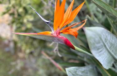 Villa Sole vista mare super panoramica - Foto 55