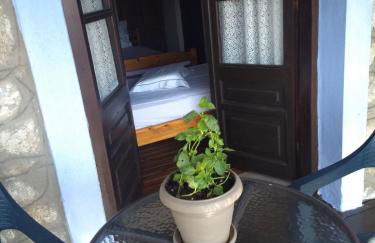 Κούκος ΕυΖην - Foto 47