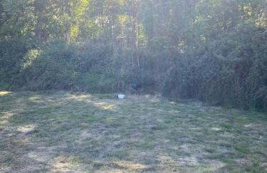 Paddock View - Snetterton Norfolk - Foto 19