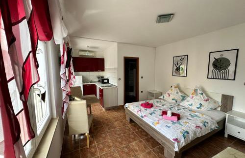 Studio Apartment near Beach Petrčane - Quiet & Central - Unit 2 - Foto 2