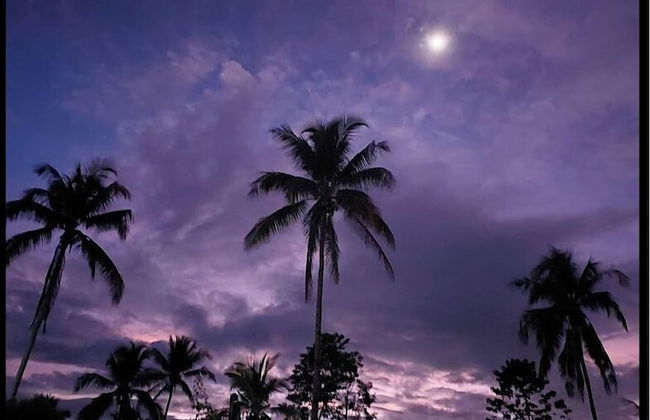 Asuneus Farm - Foto 18